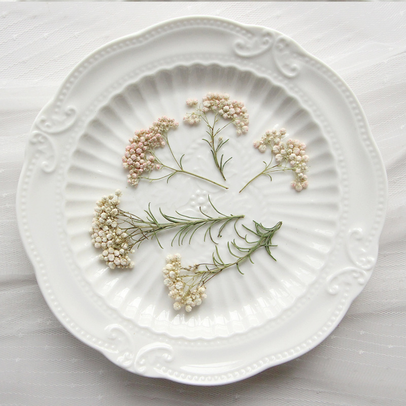 Photo Frame Baby - 12pcs, Nature Millet Flower Branches, Pressed
