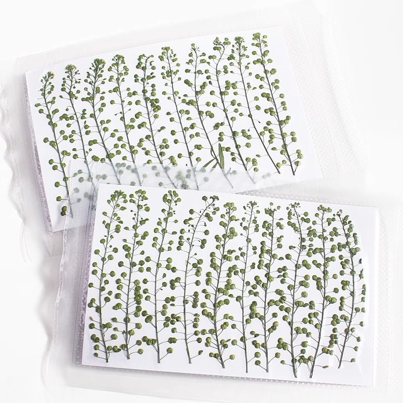 Natural Color Green Bell Grass - огляд і ціна Photo Frame Baby