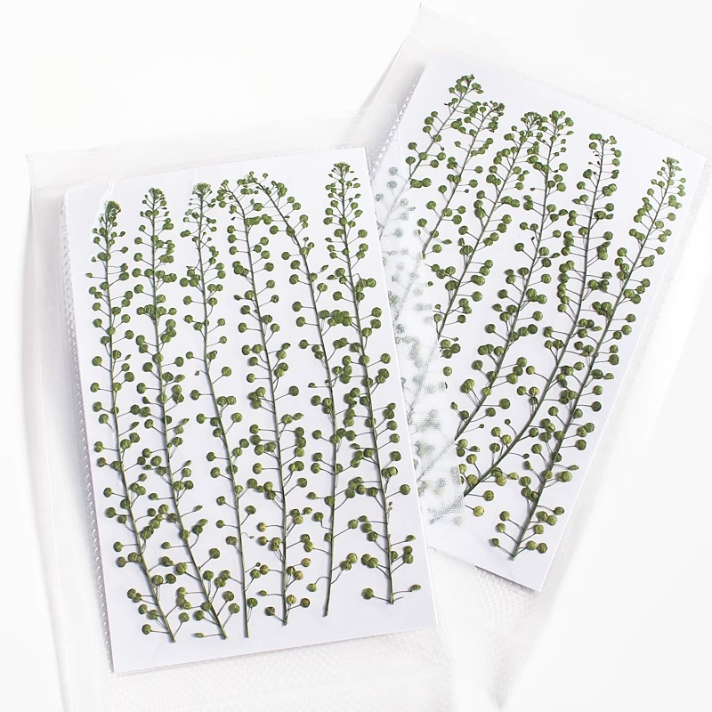 Natural Color Green Bell Grass - огляд і ціна Photo Frame Baby