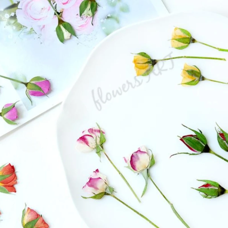 Pressed Rose Bud Flower Petals - огляд і ціна Photo Frame Baby
