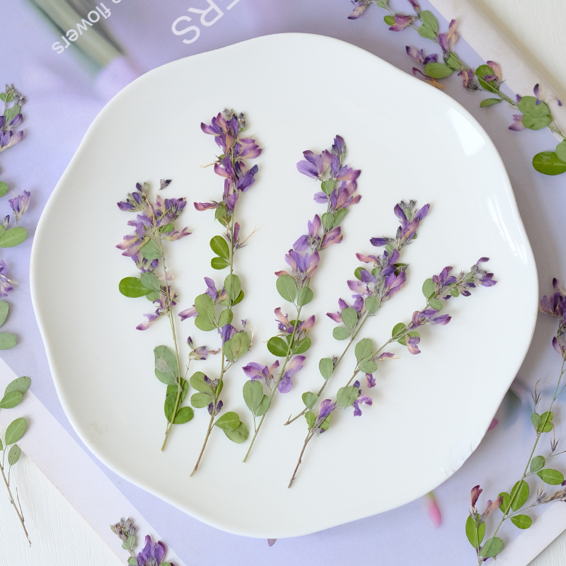 6pcs,nature Lespedeza Formosa  - огляд і ціна Photo Frame Baby