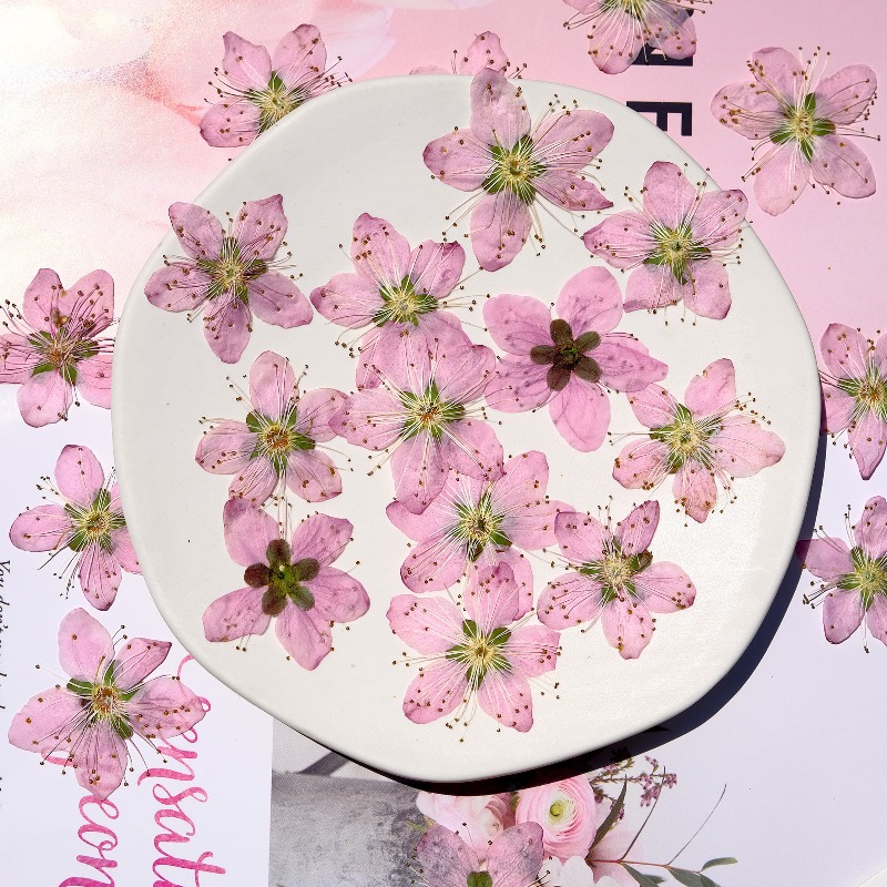 3-4cm./6pcs,Pink Peach Blossom - огляд і ціна Photo Frame Baby