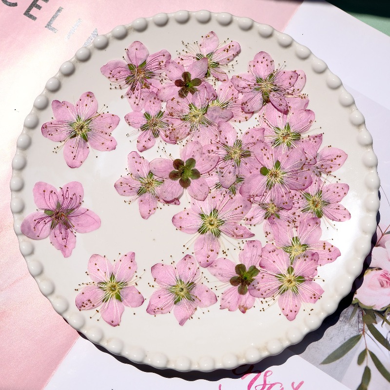 3-4cm./6pcs,Pink Peach Blossom - огляд і ціна Photo Frame Baby