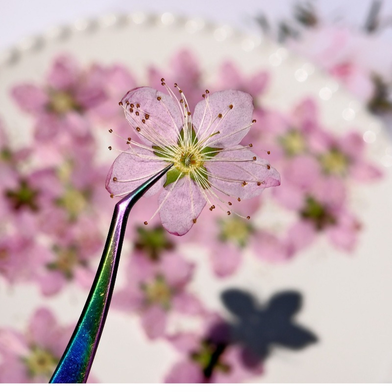 3-4cm./6pcs,Pink Peach Blossom - огляд і ціна Photo Frame Baby