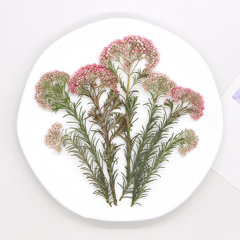 12pcs, Nature Millet Flower Br - огляд і ціна Photo Frame Baby