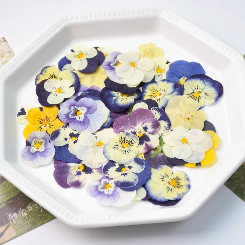 50PCS/2-4cm,Pressed Pansy Flow - огляд і ціна Photo Frame Baby