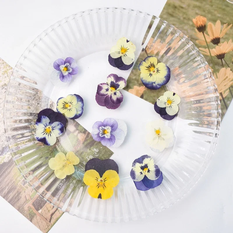 50PCS/2-4cm,Pressed Pansy Flow - огляд і ціна Photo Frame Baby