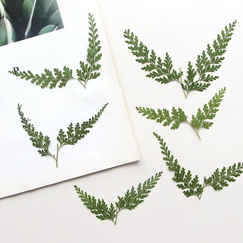 Nature Pressed Fern Branches,d - огляд і ціна Photo Frame Baby
