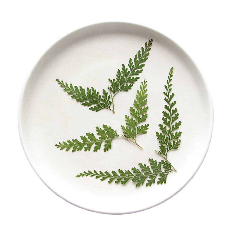 Nature Pressed Fern Branches,d - огляд і ціна Photo Frame Baby